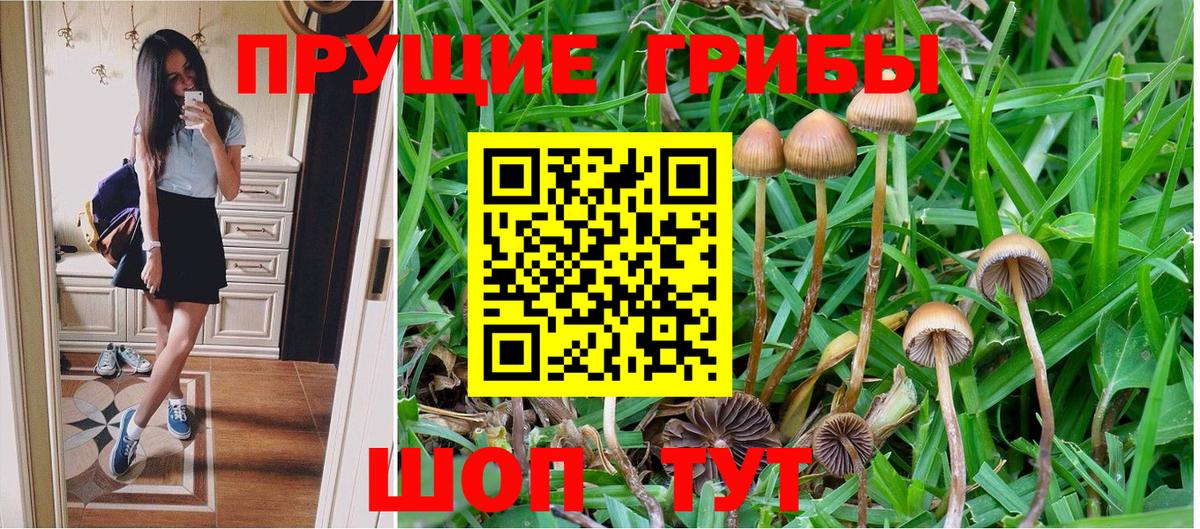 Галлюциногенные грибы Psilocybine cubensis  Вход с VPN  Сегежа  Галлюциногенные грибы ЛСД 